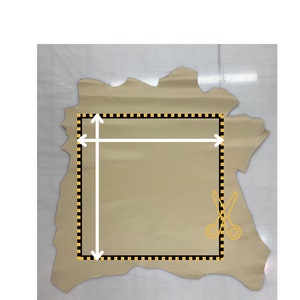 May include: A beige leather hide with a black and yellow checkered border. The hide is measured with white arrows indicating the length and width. Scissors are shown in the lower right corner.
