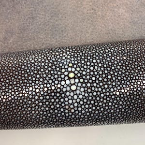 Op de afbeelding: Een cilindervormig object bedekt met een textuur van roggenhuid, bestaande uit een dichte rangschikking van kleine, ronde witte en donkerbruine kralen. Een grotere, licht iriserende, lichte groep kralen bevindt zich in het midden.