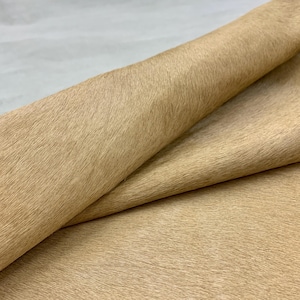 Peut inclure: Gros plan sur une peau de couleur beige avec une texture de fourrure courte et dense. La peau est pliée, révélant le dessous et créant des ombres. Le matériau semble doux et luxueux, adapté à divers projets d'artisanat.