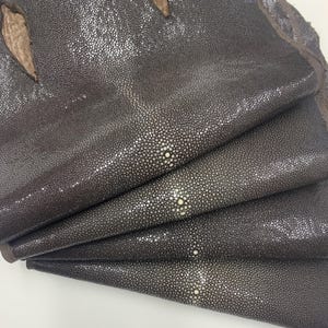 Pijlstaartroghuid huid vissenhuid Natuurlijk leer, bruin gepolijst oppervlak, voor armbanden chokers portemonnees portemonnees horlogebandje luxe