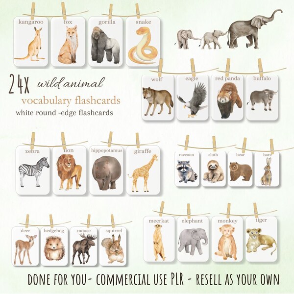 PLR 24x wild animal flashcards- vocabulary-preschool DONE for YOU - mom business