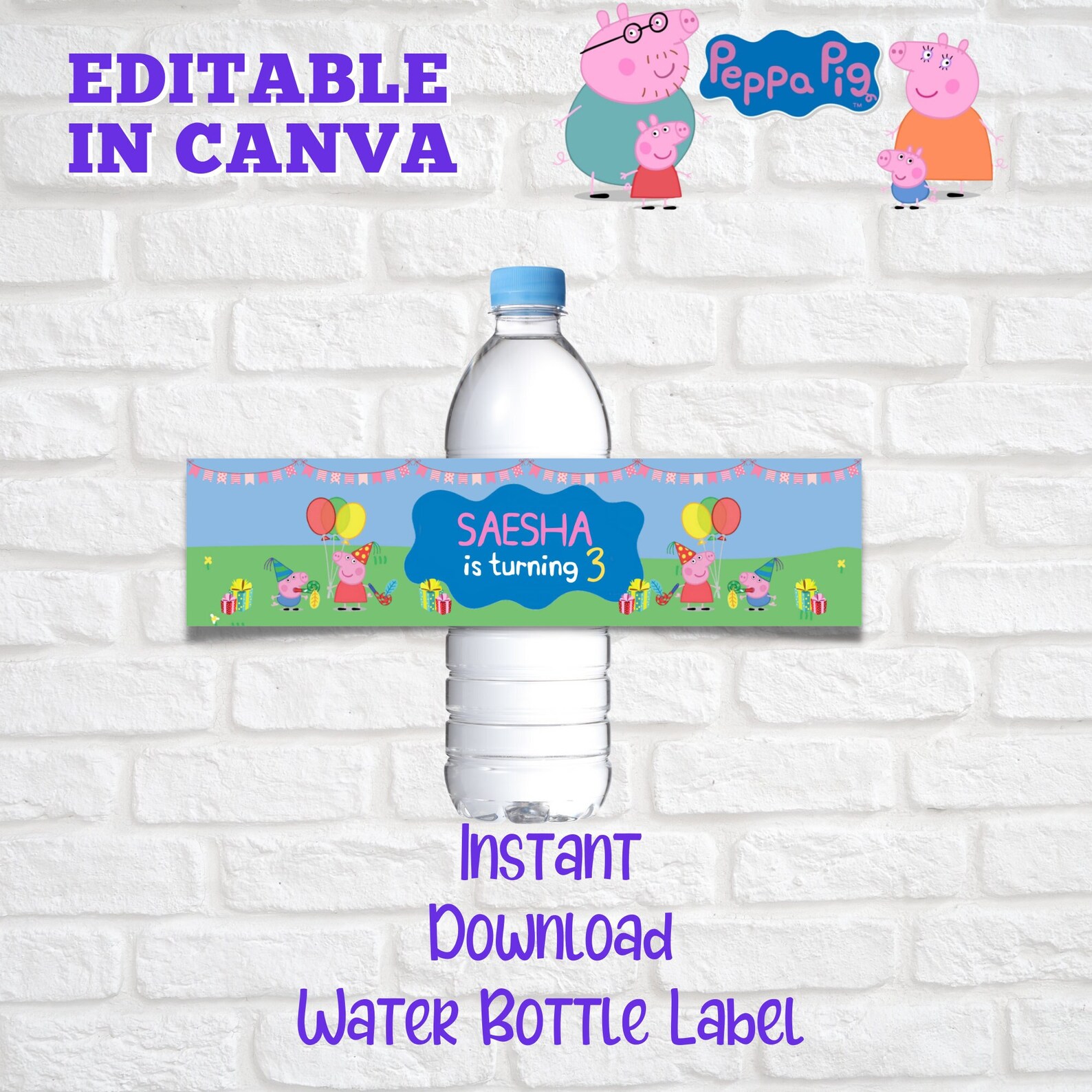 Peppa Pig Water Bottle Labels Peppa Pig Birthday Decorations | Etsy