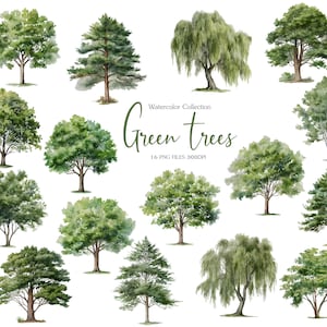 Puede incluir: Colección de acuarelas de árboles verdes. La imagen presenta 16 archivos PNG de diferentes tipos de árboles, incluyendo árboles de hoja caduca y coníferas. Los árboles están pintados en tonos verdes y marrones, con follaje detallado.