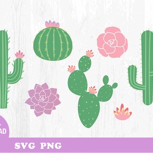 Cactus Bundle Svg. Succulent Svg. Сactus vettoriale. Piante svg. Cactus svg file per cricut. Download immediato. Svg. Png.