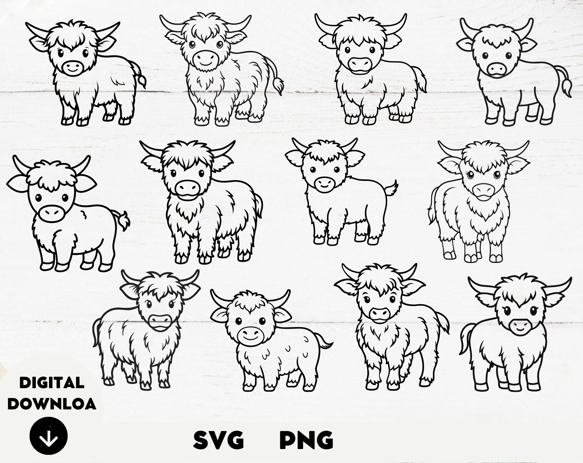 Highland Cow Svg Bundle, Cow Svg, Cute Highland Cow Svg, Floral Cow