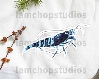 Black and Blue Tiger Shrimp Sticker: Waterproof Diecut Decal