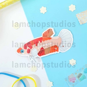 May include: A red, orange, and white betta fish sticker with a white background. The sticker is on a blue and white surface.