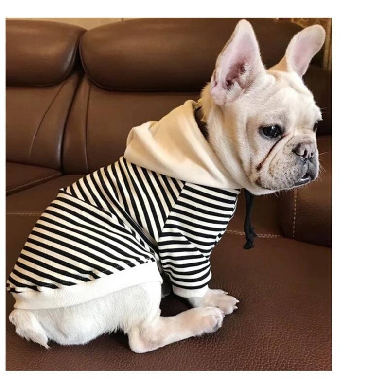 Family Matching Hoodies / Dog Hoodies Family Matching Etsy