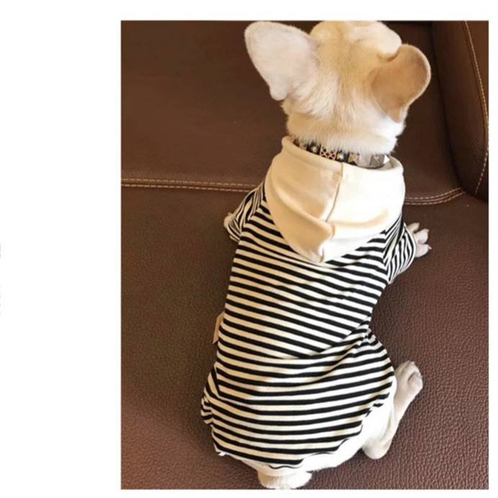 Family Matching Hoodies / Dog Hoodies Family Matching Etsy