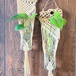 May include: Two wall-hanging plant holders featuring cream-colored macrame cord knotted in a diamond pattern, attached to pieces of porous cholla wood. Each holder contains a clear glass bottle with a green plant cutting inside and a tassel bottom.