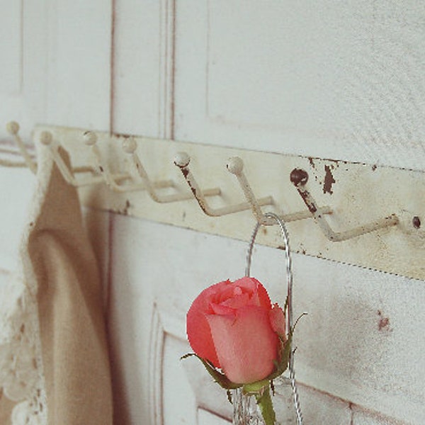 Country house hook rail, wardrobe in shabby antique chic
