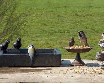 Charmantes Vogelbad, Vogeltränke aus TERRAZZO eckig, scwarz