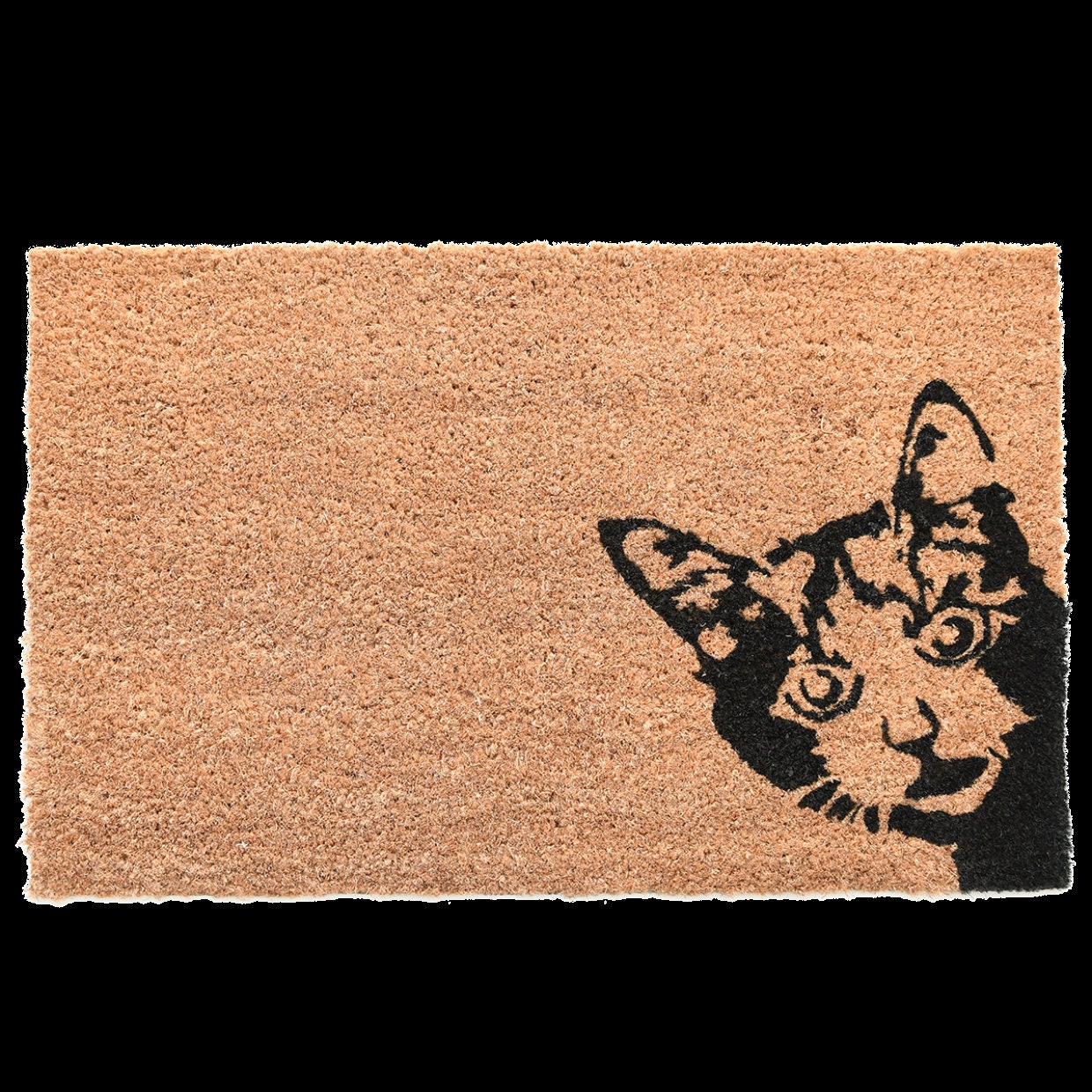 Fußmatte Schmutzfangmatte Wunschtext Katzen personalisiert F229