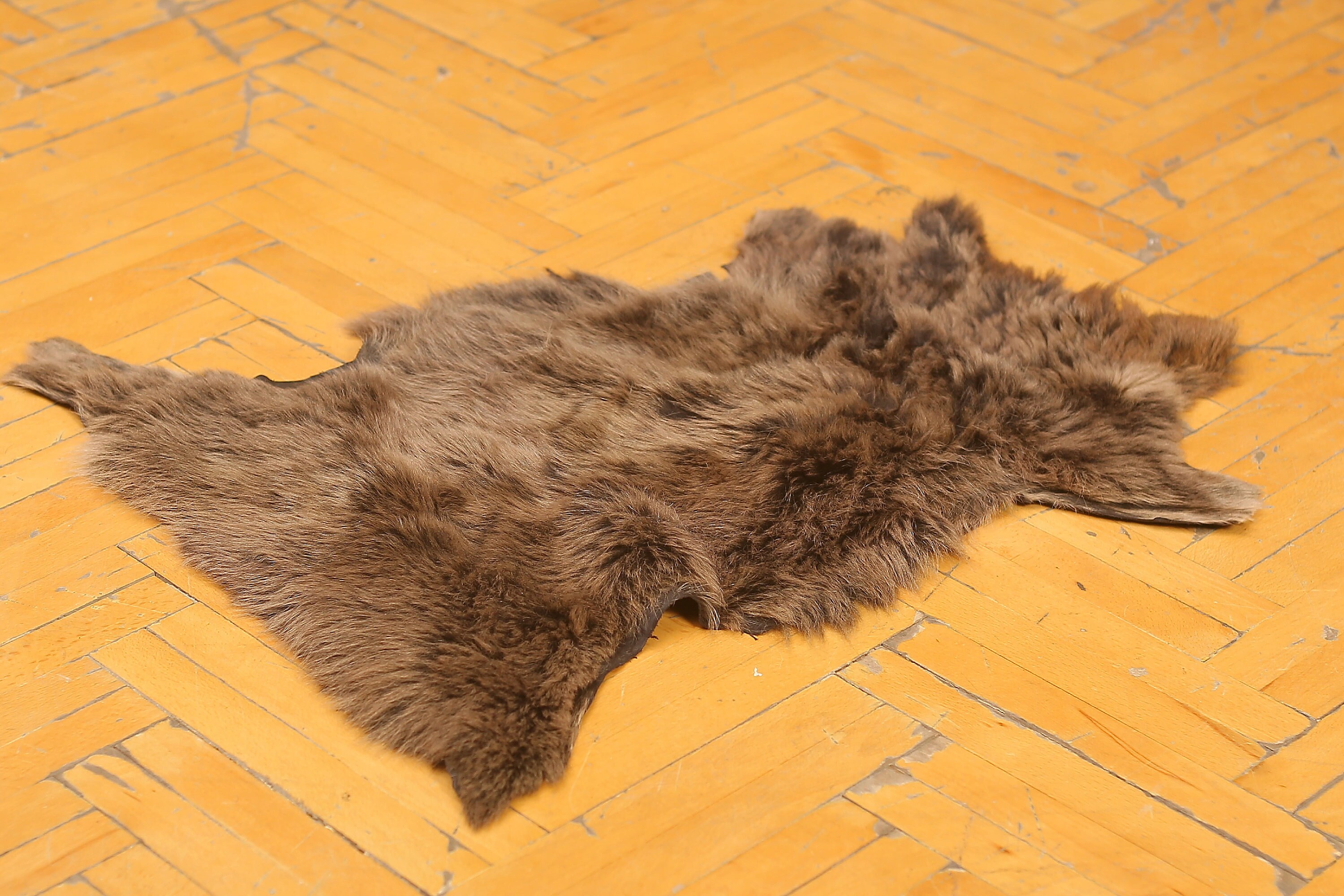 NATURAL SHEEP SKIN Brown Sheepskin rug Lambskin rugshine Etsy