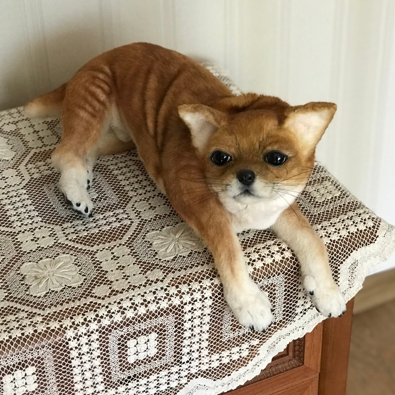 hansa chihuahua puppy plush toy