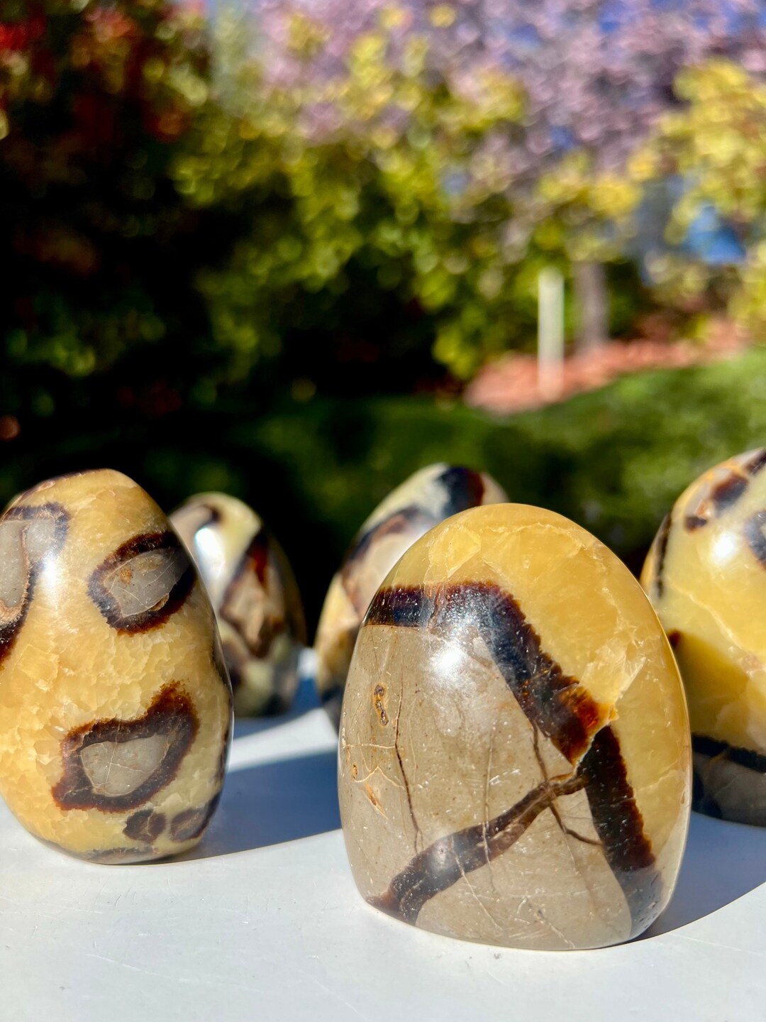 Septarian Form Septarian Freeform | Septarian Free Form | Septarian Decor | Septarian ...