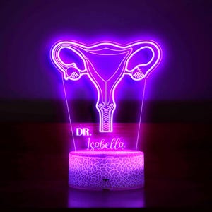 Personalized Gynecologist Gift, Night Light for Gynecologist, Gynecologist Office Decoration, School Gynecologist Gift, Gift for Docor