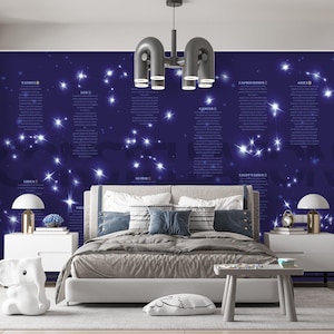 Constellation Wallpaper Peel and Stick Teen Bedroom, Dark Outer Space Wall paper Classroom Universe, Galaxy Wall  Stars Wallpaper Removable