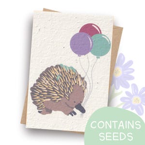 Plantable Echidna Birthday Card | Australian Animal | Contains Seeds | Handmade in Australia