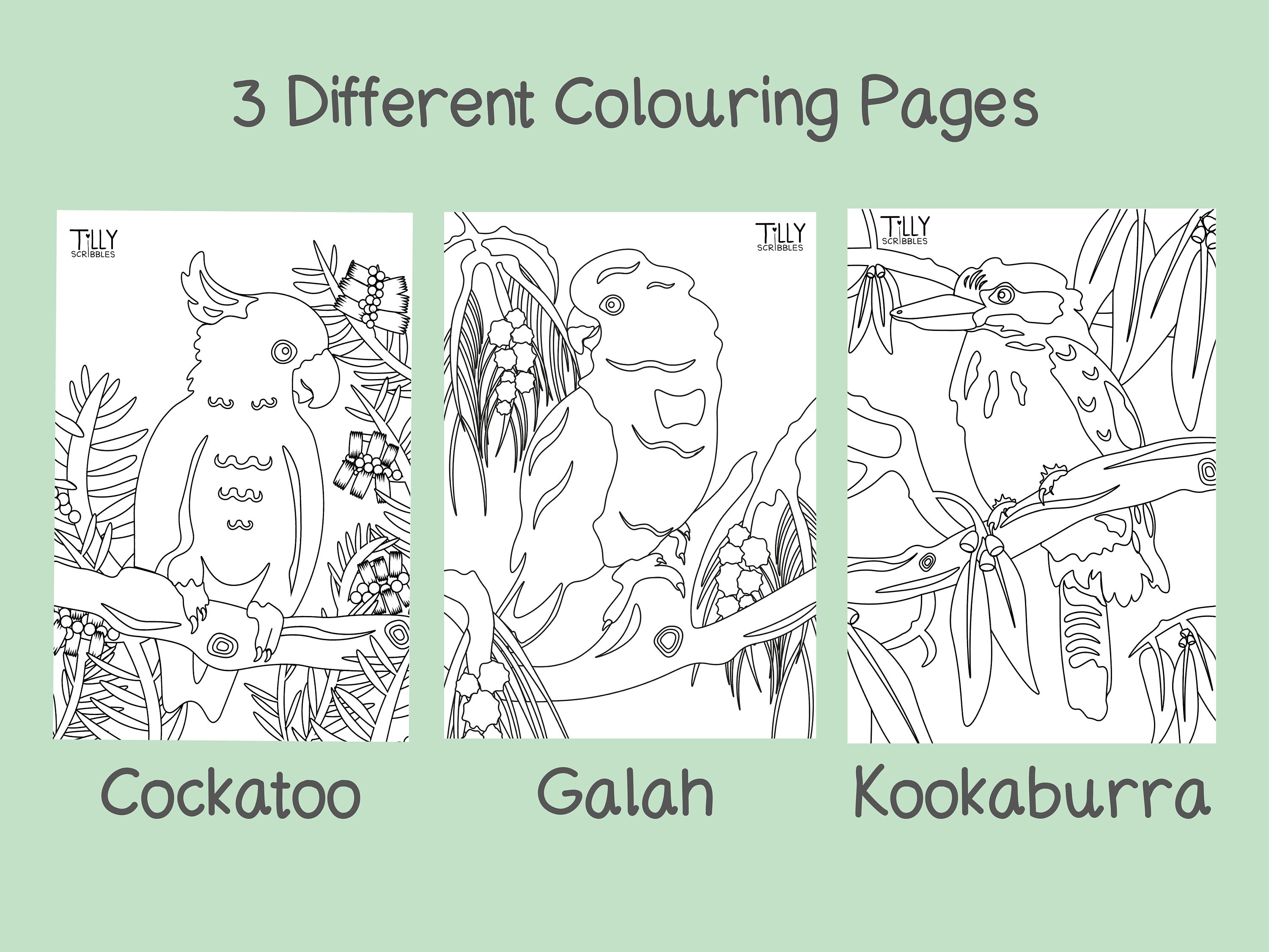 Australian Birds | Downloadable Colouring Sheets - Etsy Australia