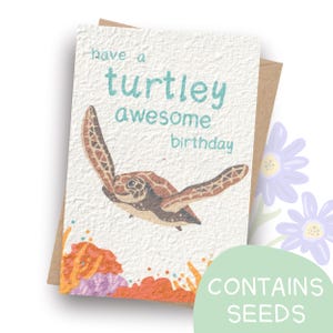 Seeded Turtle Birthday Card | Happy Birthday | Turtle | New | Contains Seeds | Plantable | Handmade in Australia
