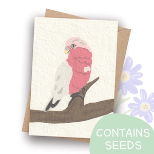 Plantable Galah Card | Australian Bird | Blank Inside