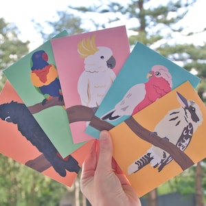 Australian Bird Card Bundle | 5 Pack | Made in Australia