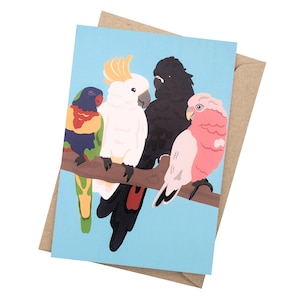 Australian Birds Greeting Card Card | Blank Inside | Made in Australia