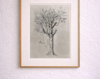 Conjunto de 2 bocetos antiguos, arte vintage original, ilustración, árboles, naturaleza, grafito, lápiz