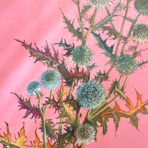 Antique watercolour painting, botanical illustration, flowers, vintage, modern art 20th century, cottage