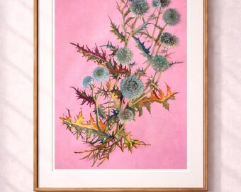 Cardos sobre cielo rosa, acuarela botánica original, arte floral contemporáneo, 50/70 cm