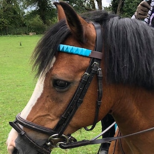 Bespoke browbands for horses (two colours)