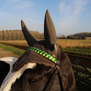 piebald horse wearing bespoke green browband and grey soundproof noise cancelling acoustic ear bonnet