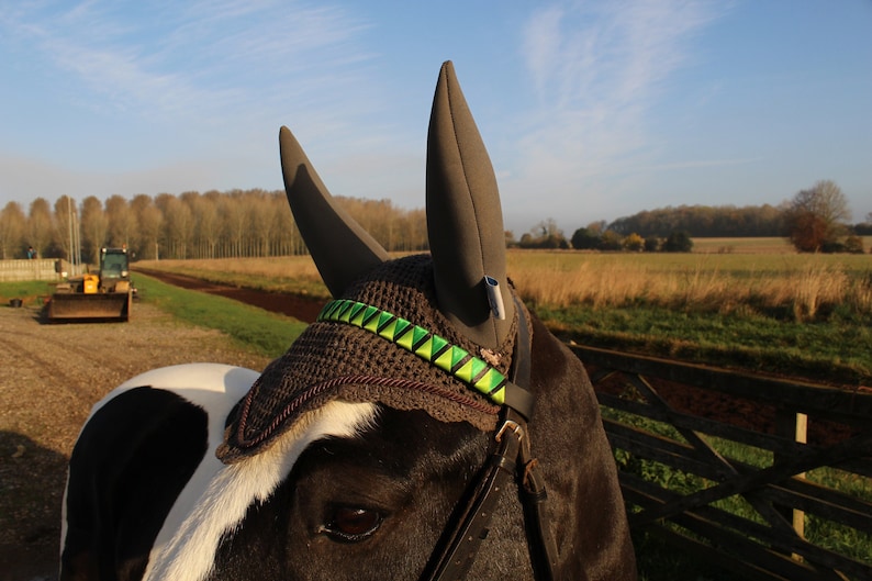 piebald horse wearing bespoke green browband and grey soundproof noise cancelling acoustic ear bonnet