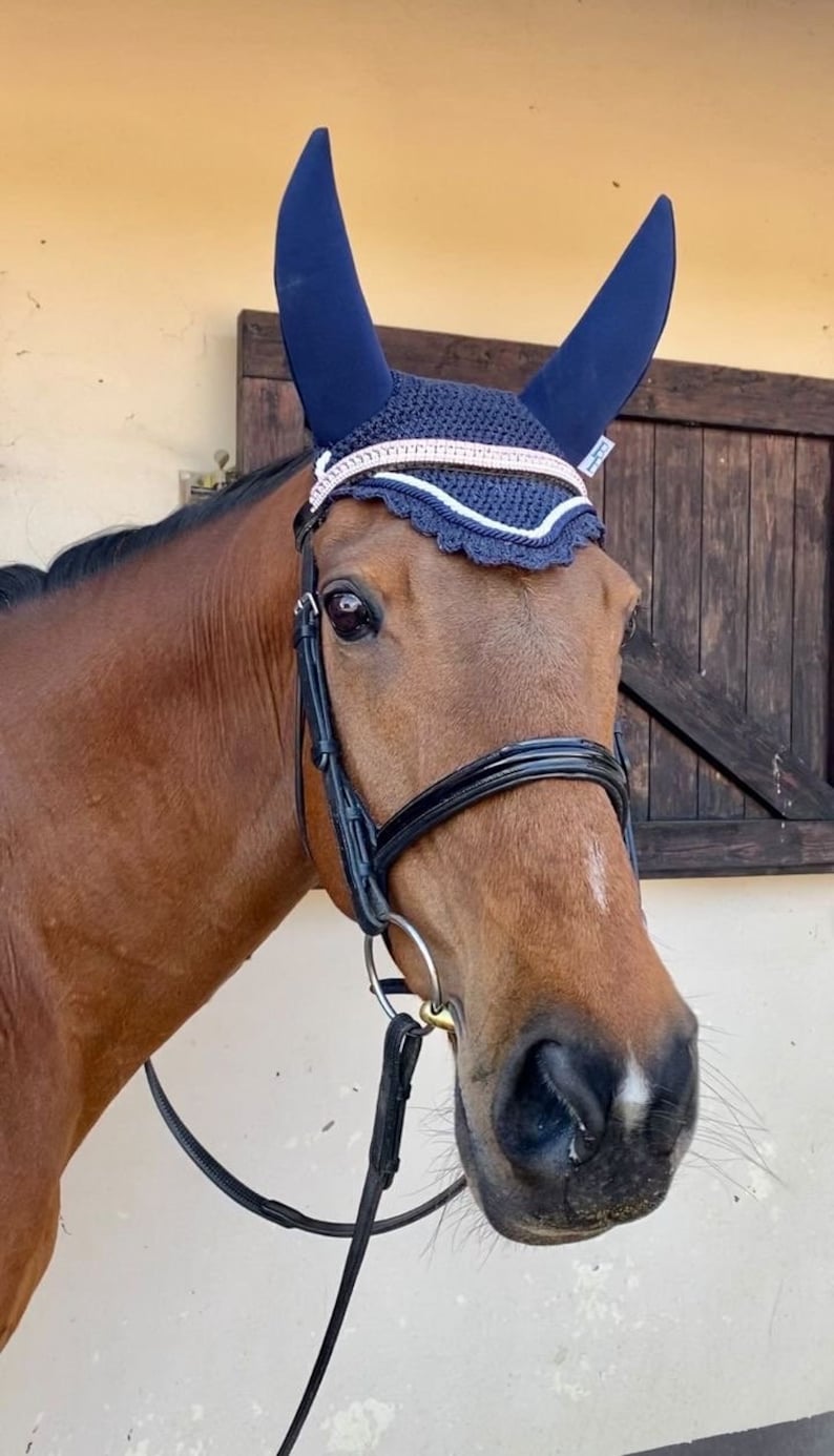 thoroughbred horse wearing navy soundproof, noise cancelling,acoustic ear bonnet