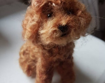 Needle Felted "Cockapoo"