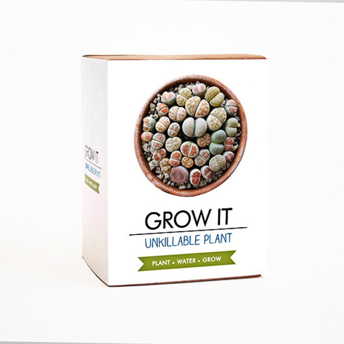 Grow It. Grow Your Own Unkillable Plants. 'living Stone Etsy UK