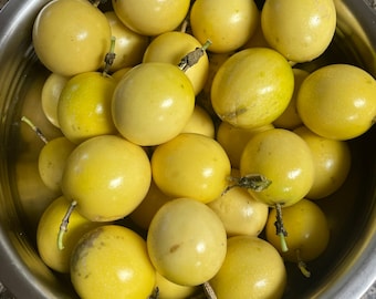 Yellow Passion Fruit  Etsy