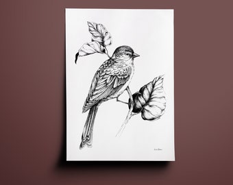 Boho illustration Bird Art print - European greenfinch on a Branch - Traditional Bird drawing, scandi design