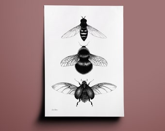 Modern Insects Print - Bumblebee drawing Wall Art - Bug Ink illustration poster, bee, scarab