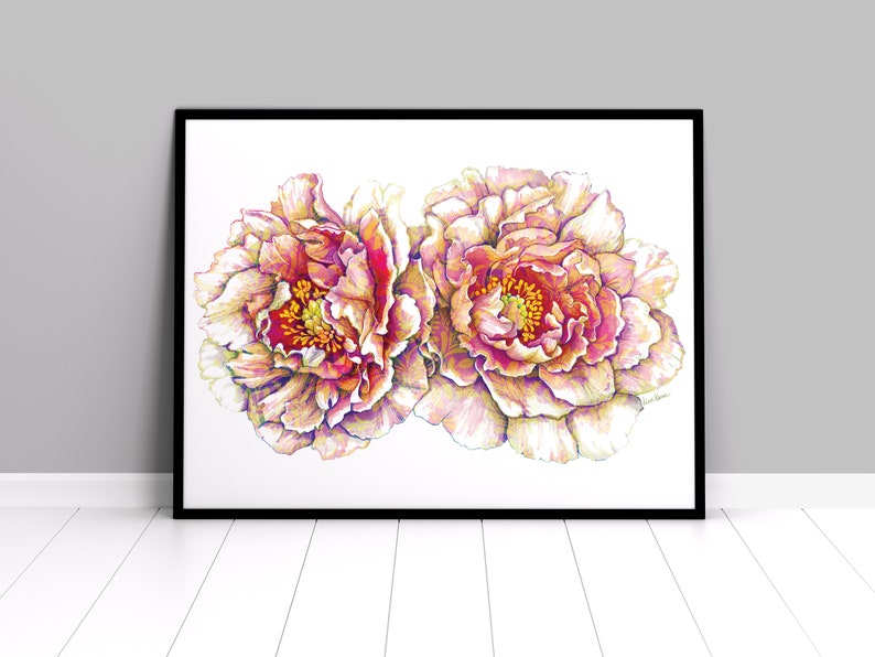 Pink Peony Print Floral illustration Wall art image 1