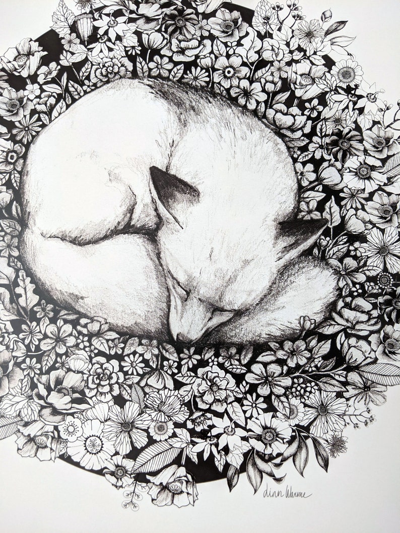 Fox sleeping in flowers Art print Flower Bed Art Black & White Pencil Fox illustration image 2