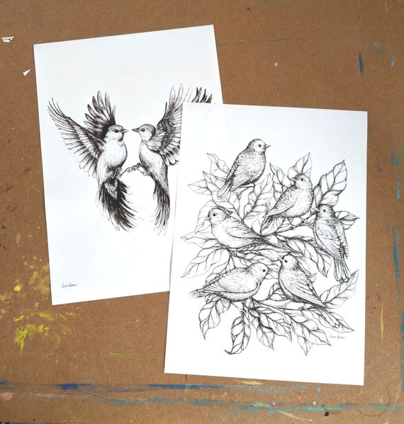 Simple Birds Drawing with Pencil Sketch | Simple Birds Drawing with Pencil  Sketch #draw #drawing #art #artwork #artist #sketching #sketchbook  #pencilsketch #pencildrawing #bird #birds #birdart... | By Sayataru  CreationFacebook