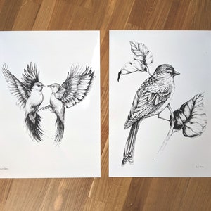 Boho illustration Bird Art print European greenfinch on a Branch Traditional Bird drawing, scandi design image 6