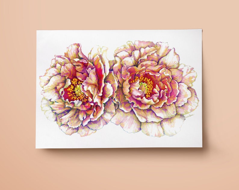 Pink Peony Print Floral illustration Wall art image 2