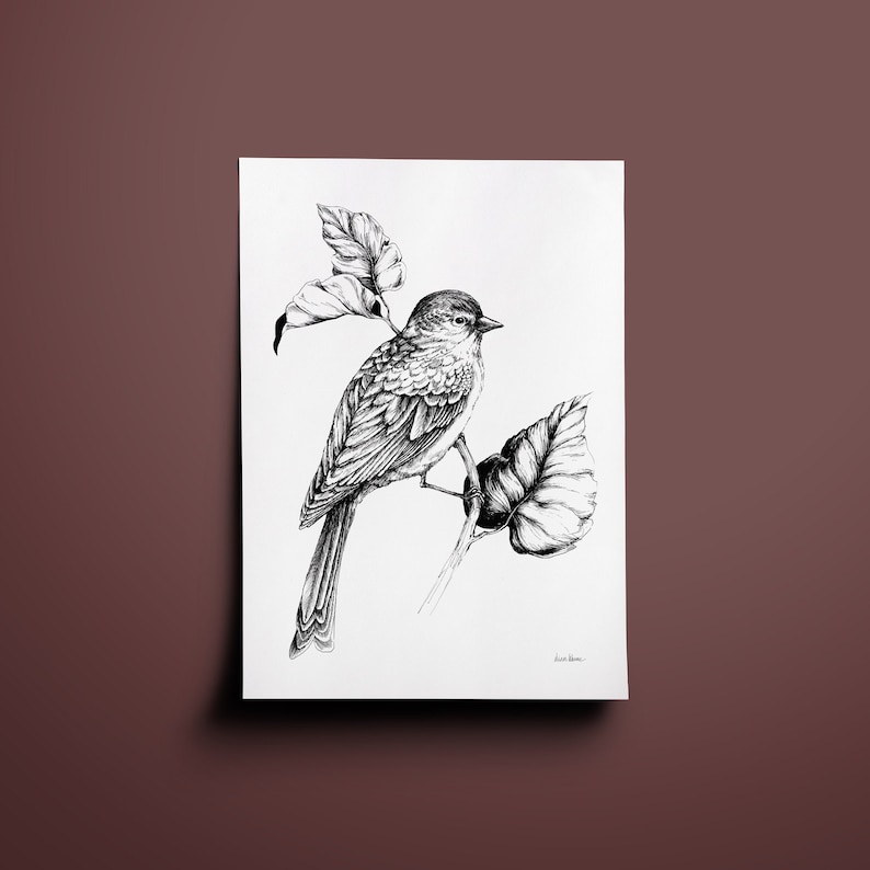 Boho illustration Bird Art print European greenfinch on a Branch Traditional Bird drawing, scandi design image 1