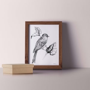 Boho illustration Bird Art print European greenfinch on a Branch Traditional Bird drawing, scandi design image 2
