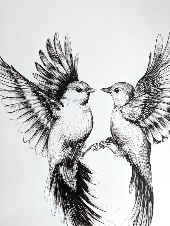 Bird Sketch Images  Free Download on Freepik