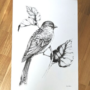 Boho illustration Bird Art print European greenfinch on a Branch Traditional Bird drawing, scandi design image 4