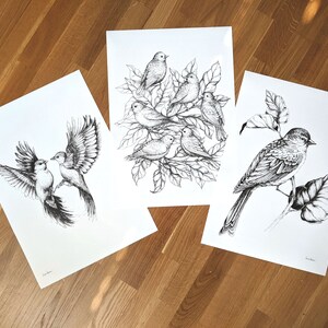 Boho illustration Bird Art print European greenfinch on a Branch Traditional Bird drawing, scandi design image 5